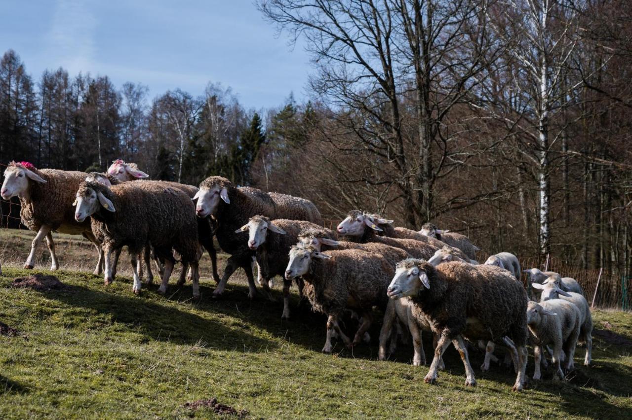 Ferienhaeuser Zur Schaeferei Mitwitz Exterior foto